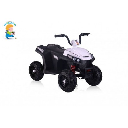 Детский электроквадроцикл T111TT